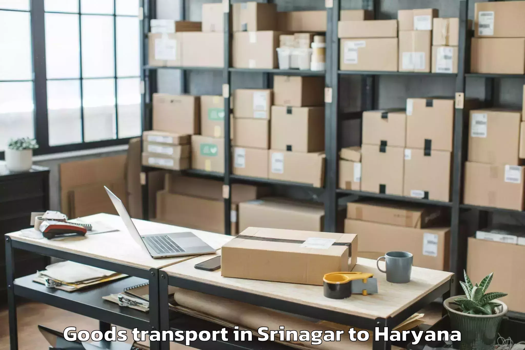 Top Srinagar to Srm University Haryana Sonipat Goods Transport Available